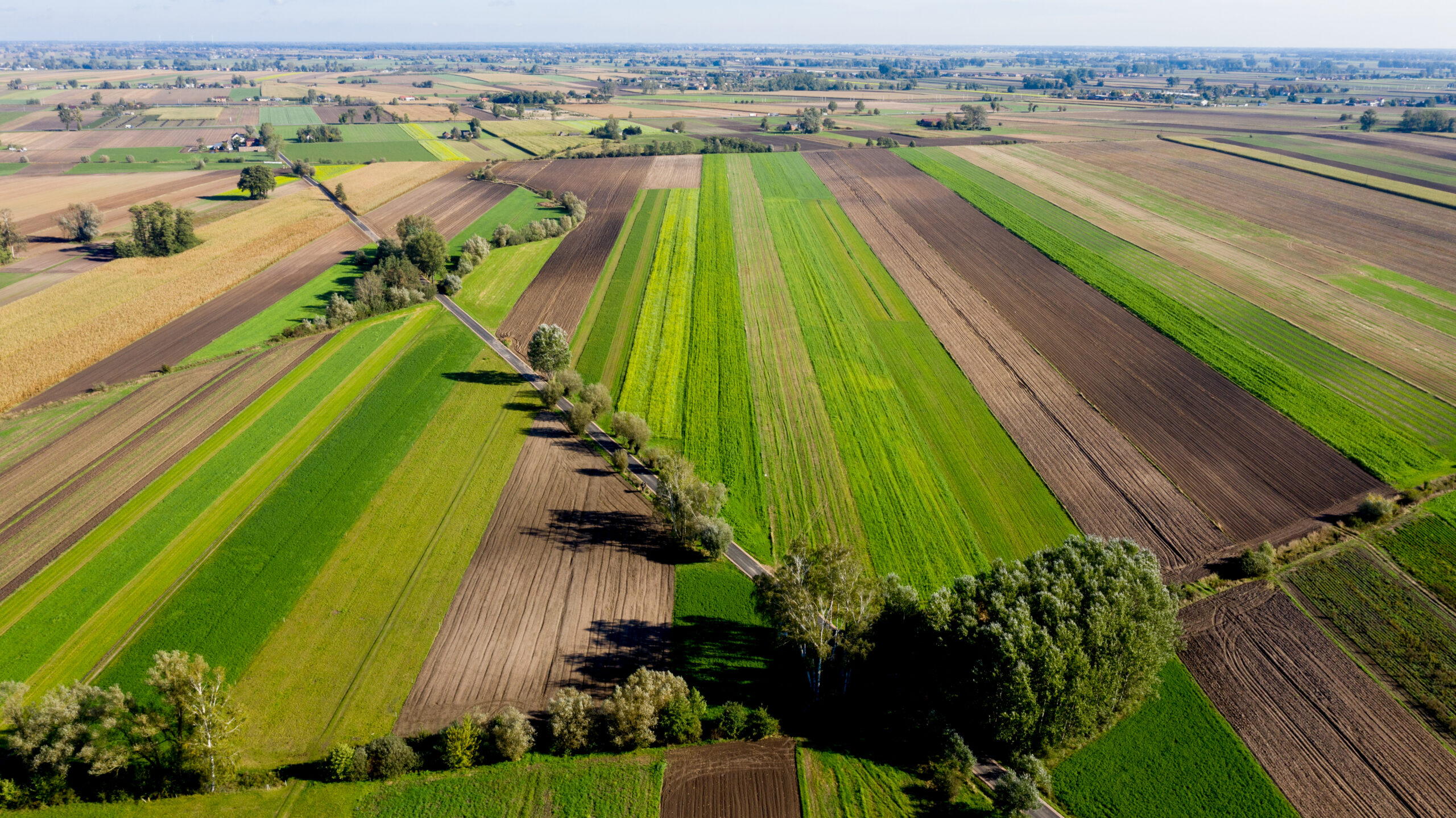 Bogoria Pofolwarczna Rzasno 8 of 1 scaled