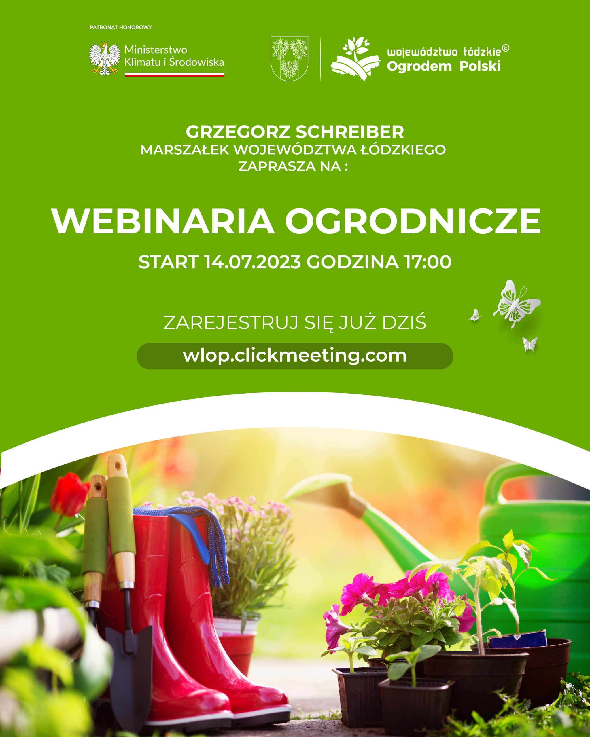 Grafika Webinaria scaled